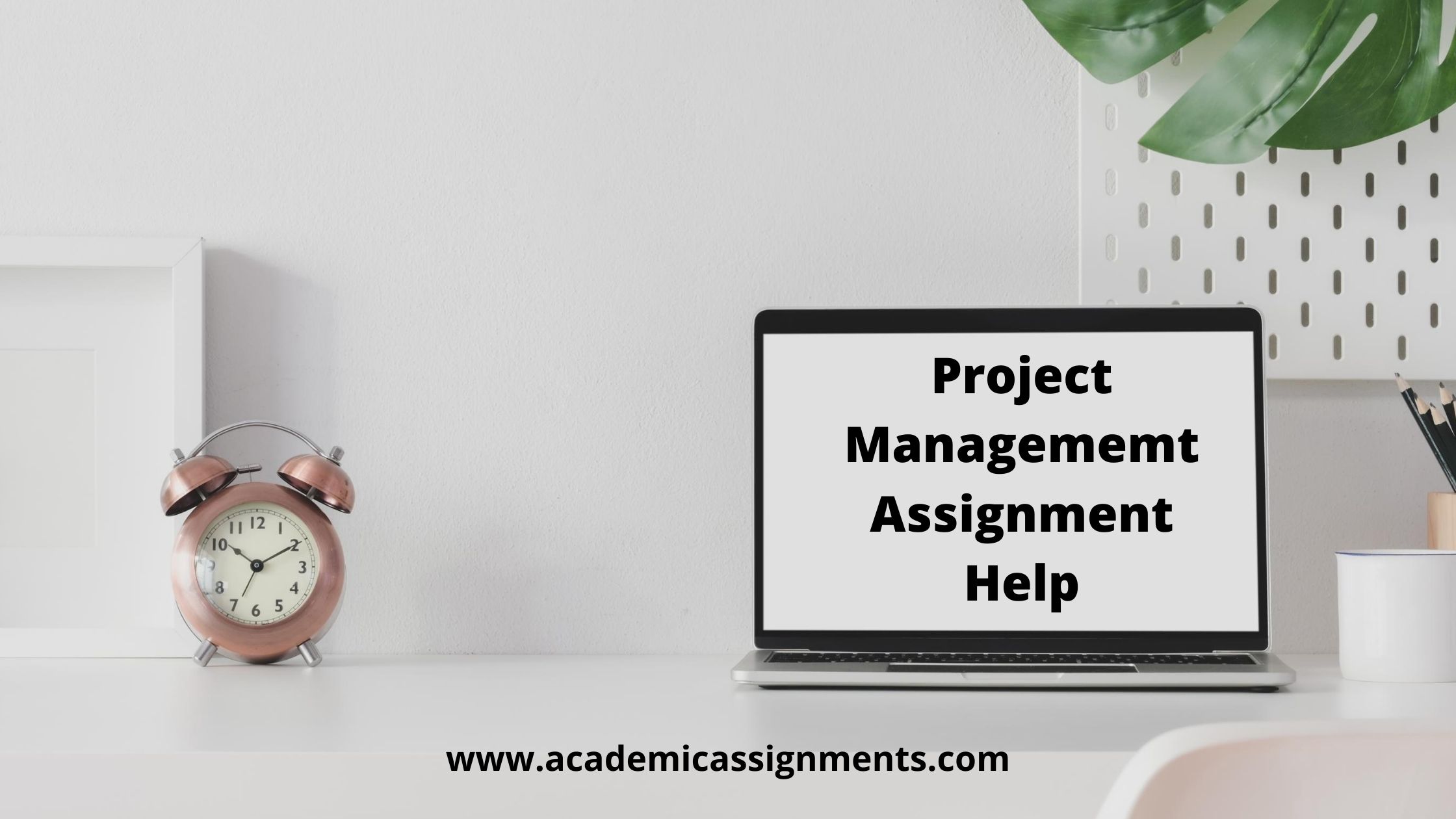 project management assignment help