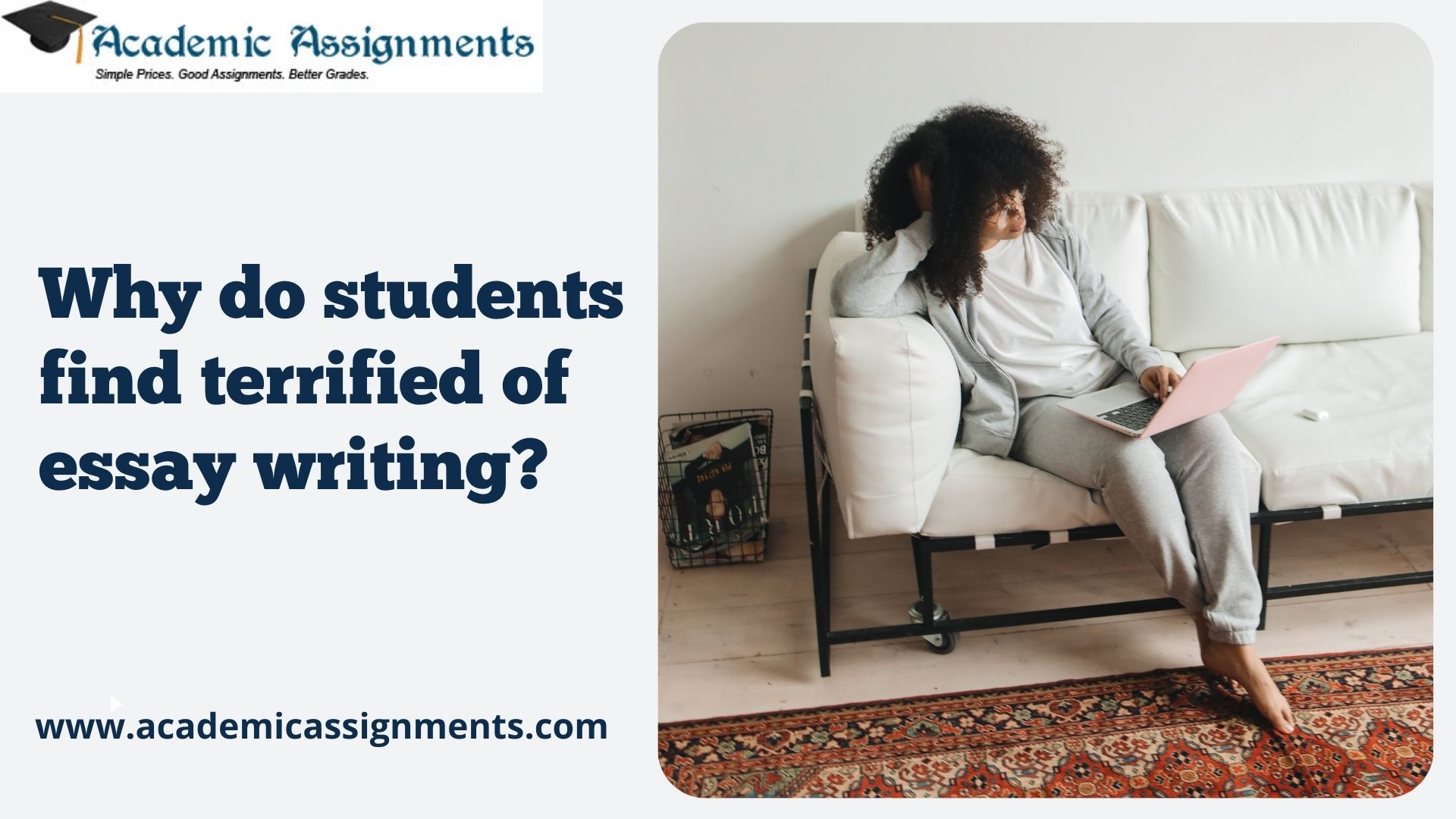 Why do students find terrified of essay writing