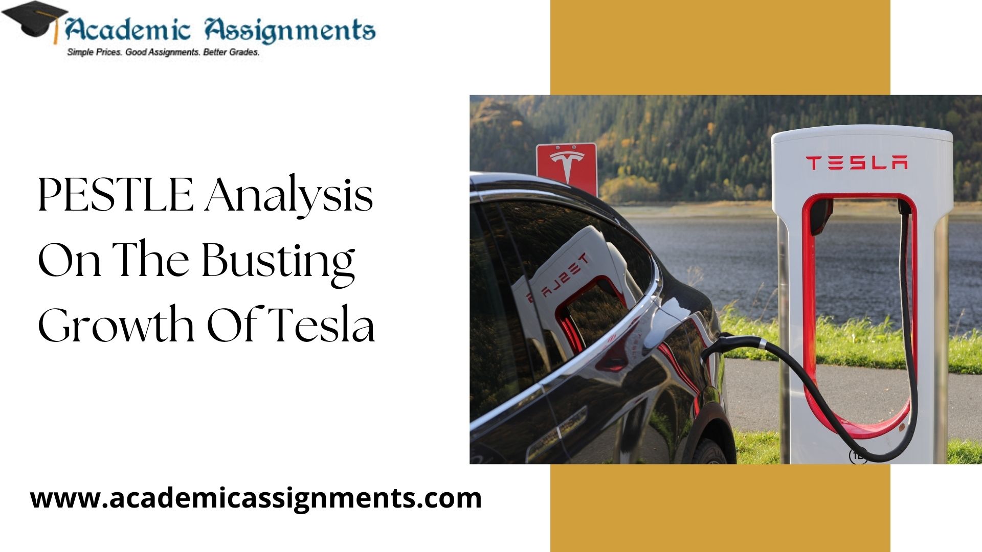 PESTLE Analysis On The Busting Growth Of Tesla
