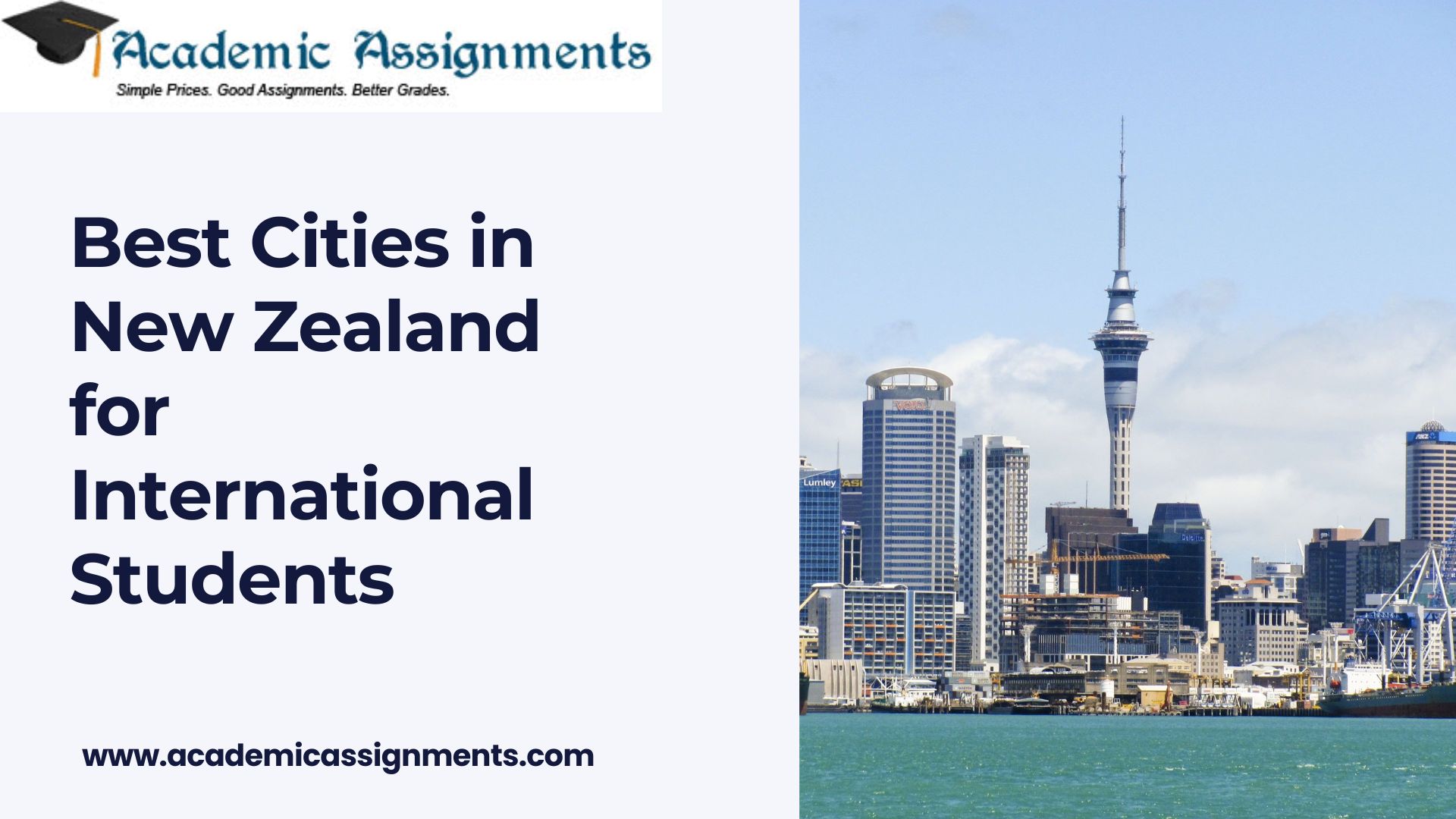 Best Cities in New Zealand for International Students