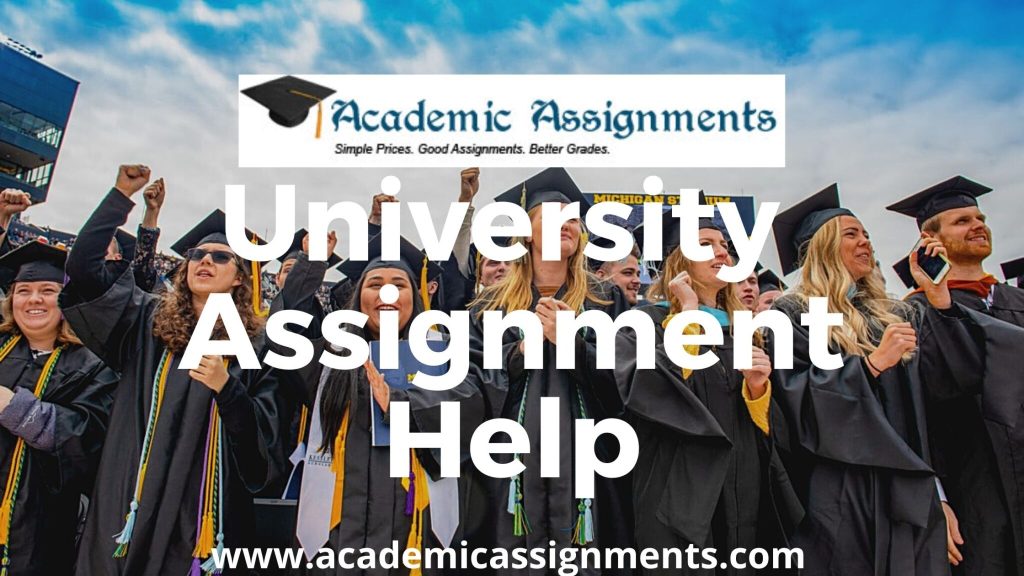 university assignment help